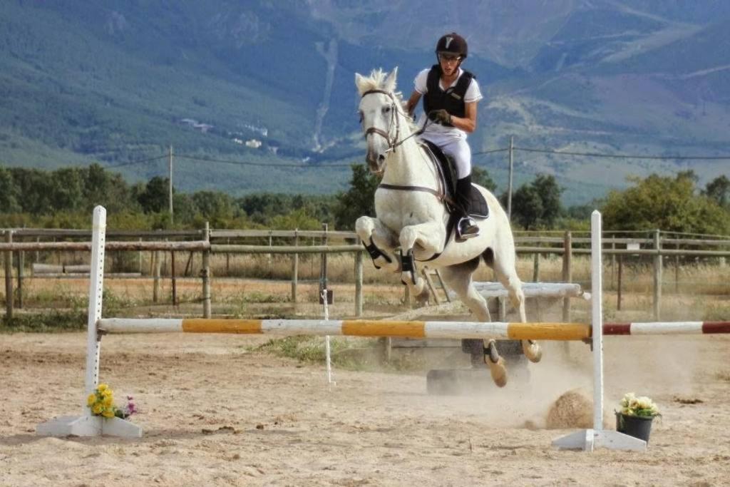 "Ecologico Con Piscina Climatizada" En La Pinilla Appartement Riaza Buitenkant foto